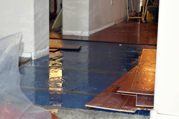 Professional Water Damage Restoration technician working in Pierson, FL